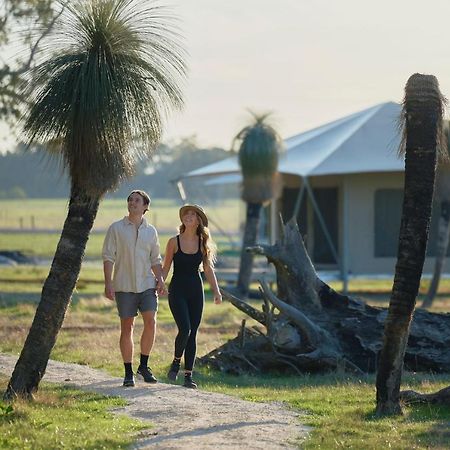 Willow Wood Glamping Retreat Broadwater Exteriér fotografie