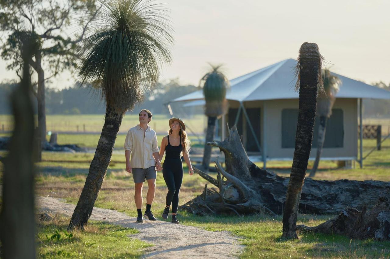 Willow Wood Glamping Retreat Broadwater Exteriér fotografie