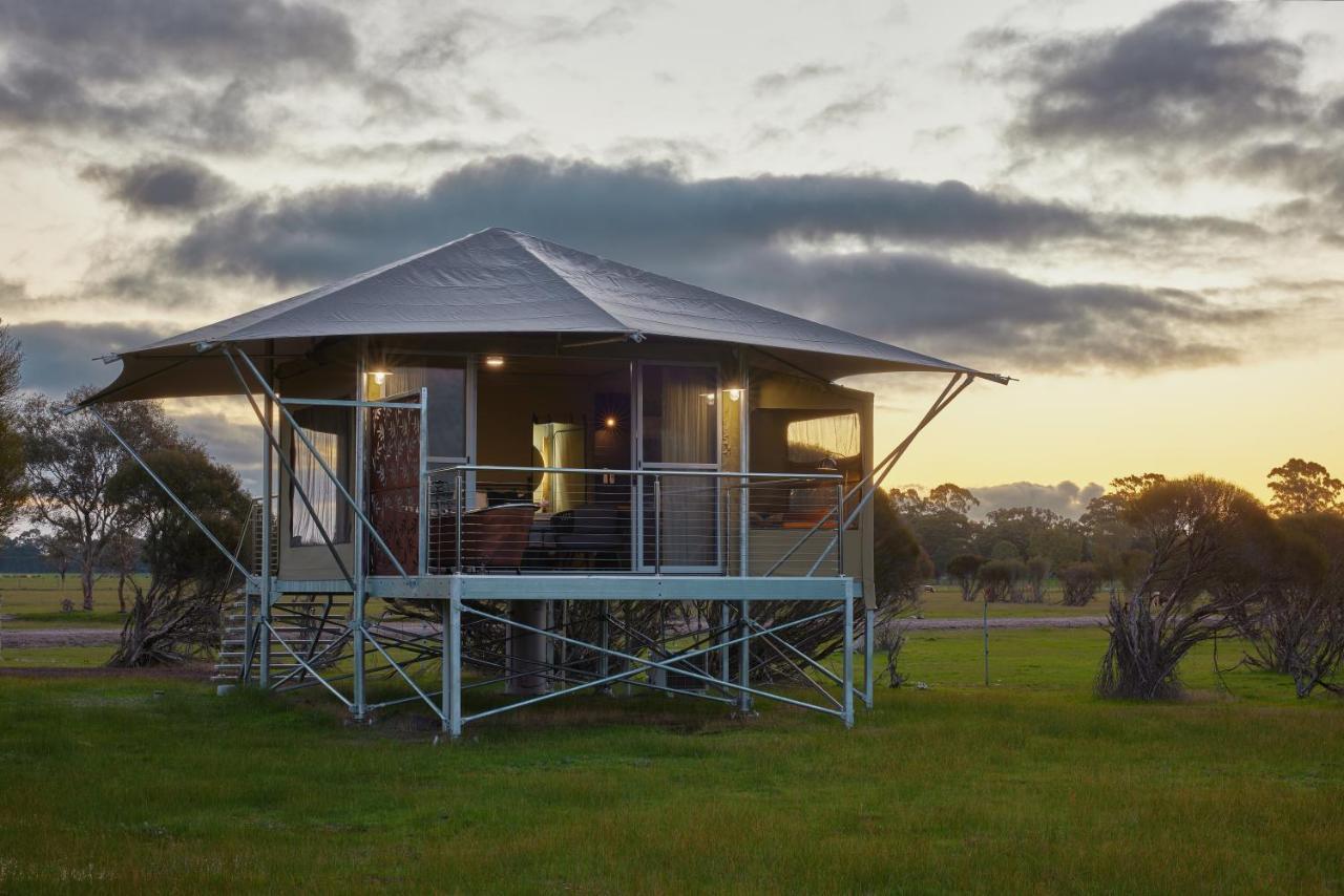 Willow Wood Glamping Retreat Broadwater Exteriér fotografie
